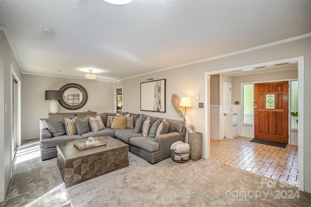 living room with crown molding, a textured ceiling, and light colored carpet