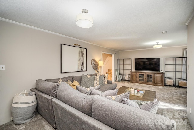 living room featuring carpet, a textured ceiling, and ornamental molding