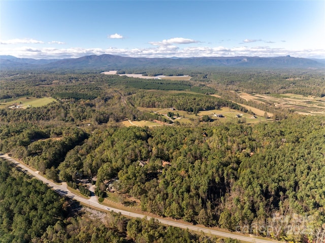 aerial view with a mountain view