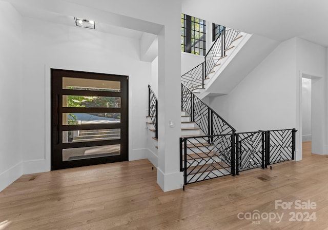 foyer featuring light hardwood / wood-style flooring and a healthy amount of sunlight