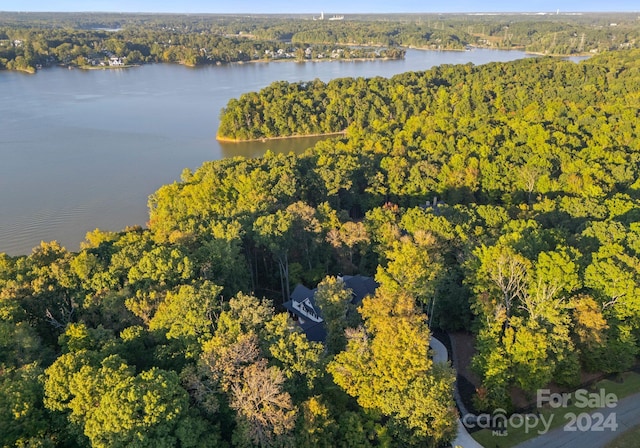 13702 Sage Thrasher Ln, Charlotte, NC 28278 - view of property location with a large body of water