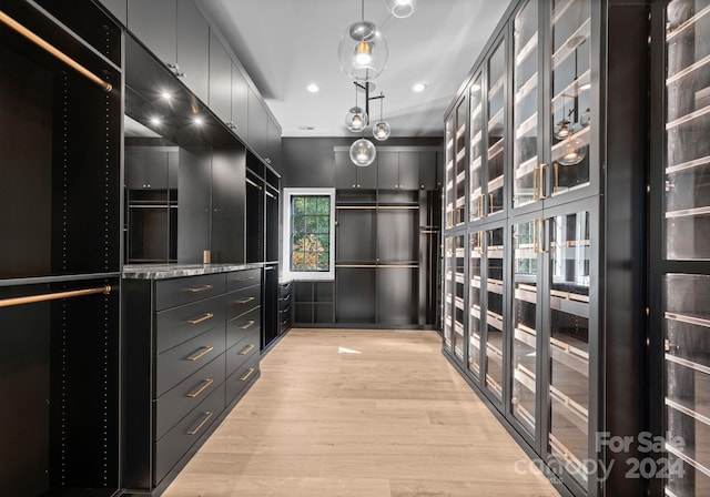 spacious closet with light wood-type flooring