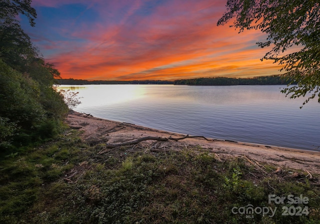 13702 Sage Thrasher Ln, Charlotte, NC 28278 - water view