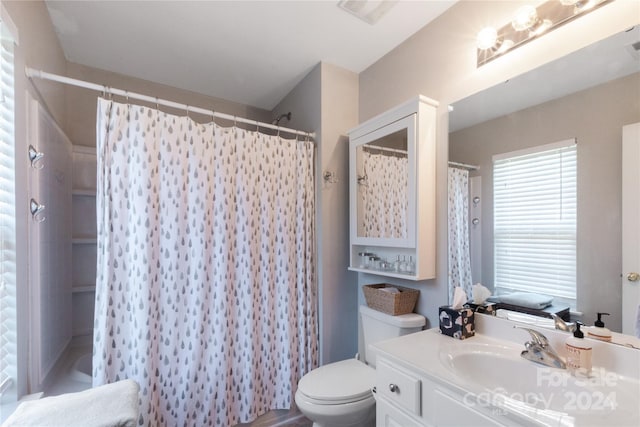 bathroom featuring vanity, a shower with shower curtain, and toilet