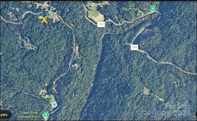 6.96ACRES Big Hungry Rd, Flat Rock, NC 28731 - photo 1