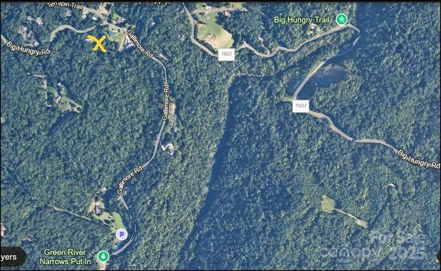 6.96ACRES Big Hungry Rd, Flat Rock, NC 28731 - photo 8