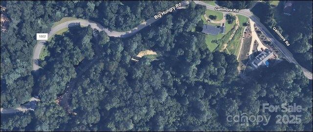 6.96ACRES Big Hungry Rd, Flat Rock, NC 28731 - photo 15