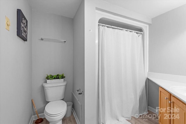 bathroom with toilet, hardwood / wood-style floors, and vanity