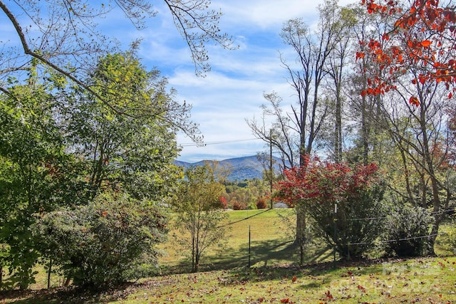 view of mountain feature