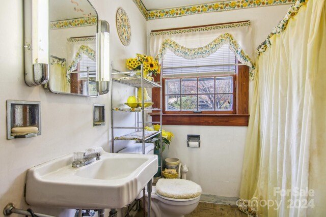 bathroom featuring toilet, hardwood / wood-style flooring, and sink