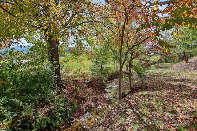 view of landscape