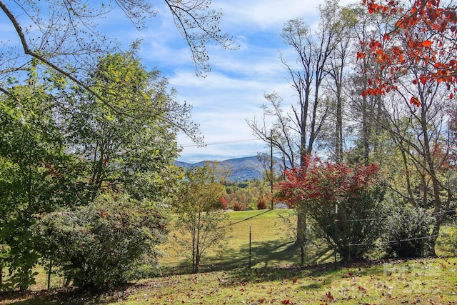 396 Will Hyatt Rd, Waynesville, NC 28786 - view of yard featuring a mountain view
