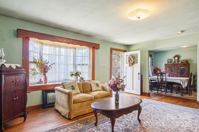 396 Will Hyatt Rd, Waynesville, NC 28786 - living area featuring wood finished floors