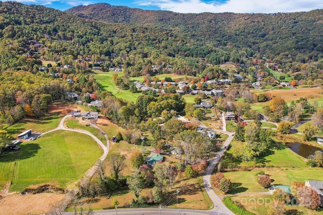 396 Will Hyatt Rd, Waynesville, NC 28786 - view of property location with a forest and a mountain backdrop