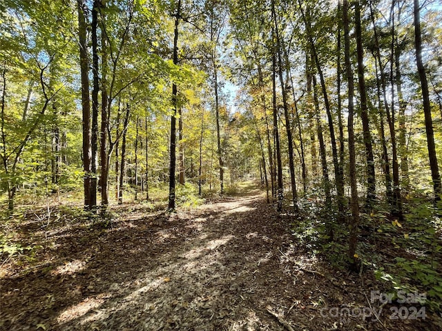 Listing photo 3 for 001 Liberty Hill Church Rd, Mount Gilead NC 27306