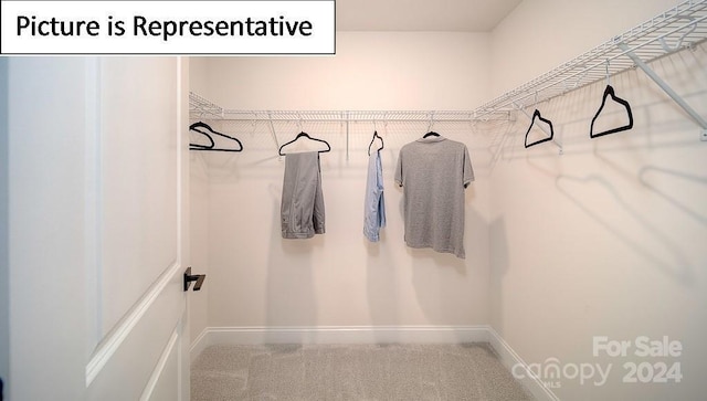 view of spacious closet