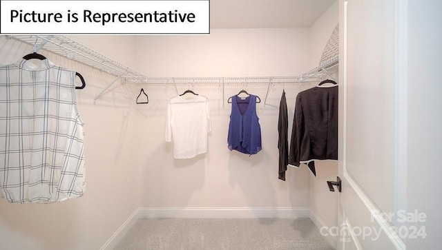 walk in closet featuring carpet