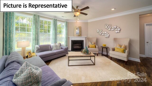 living room with crown molding, ceiling fan, a glass covered fireplace, wood finished floors, and baseboards