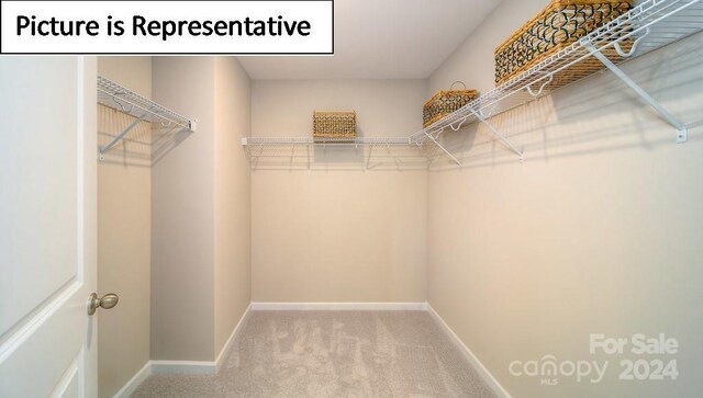 spacious closet featuring carpet floors