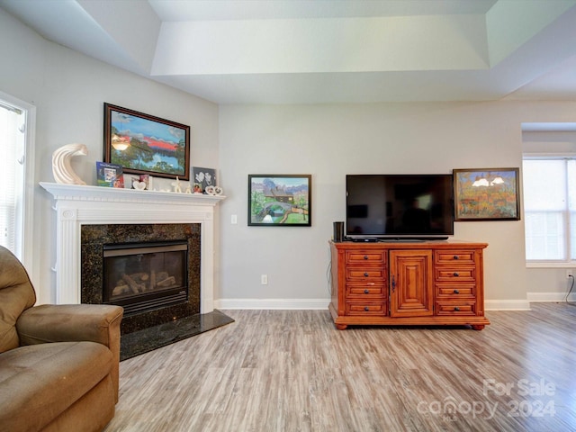 living room featuring a premium fireplace, light hardwood / wood-style flooring, and a tray ceiling