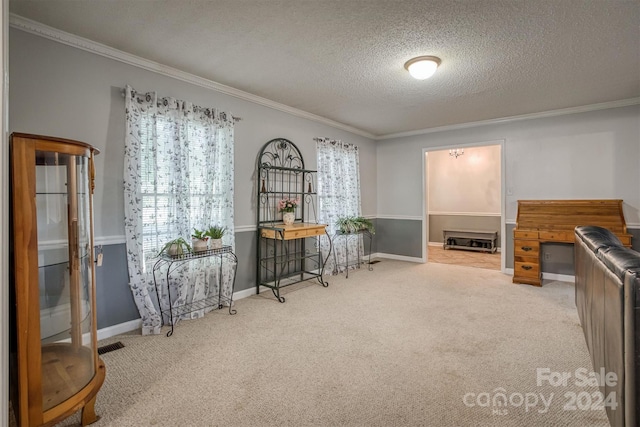 living area featuring crown molding, light colored carpet, and a textured ceiling