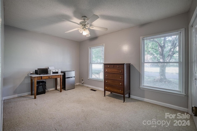 carpeted office featuring a textured ceiling, a healthy amount of sunlight, and ceiling fan