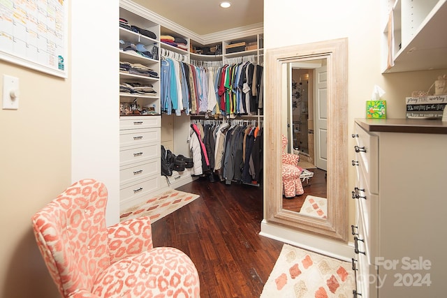 walk in closet with dark wood-type flooring