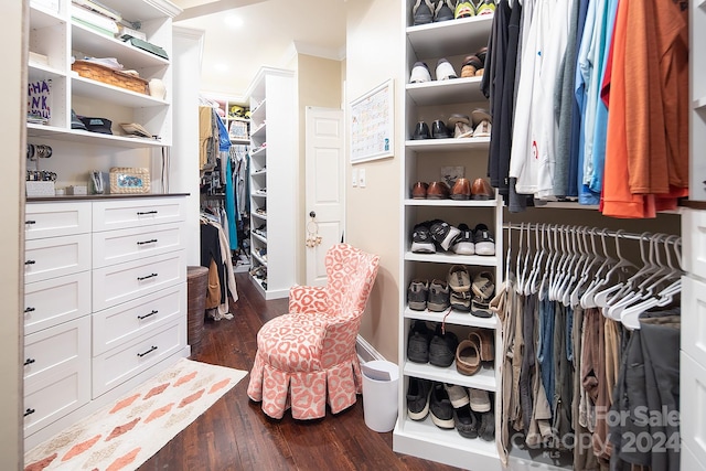 spacious closet featuring dark wood-type flooring