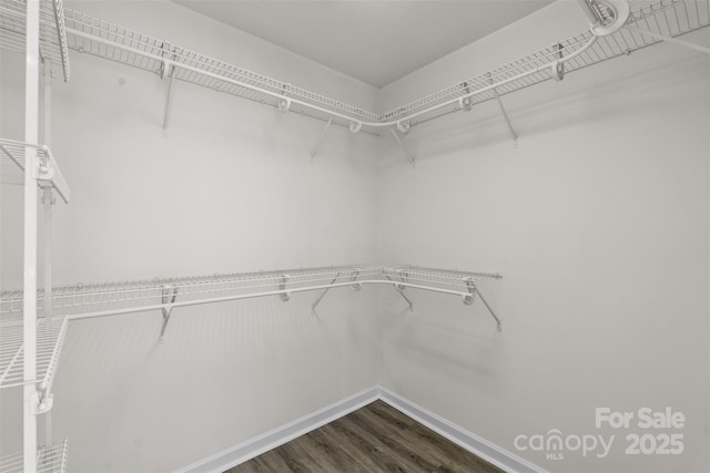 walk in closet featuring dark wood-style flooring