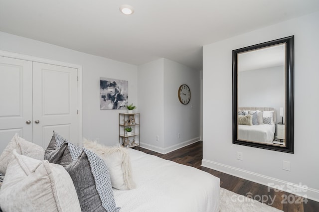 bedroom featuring dark wood-type flooring and a closet