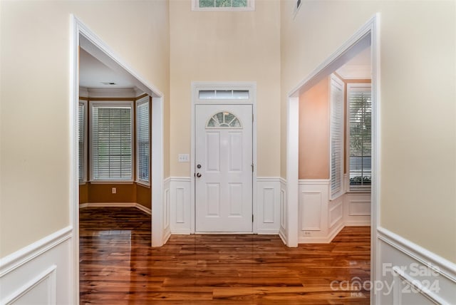 entrance foyer featuring plenty of natural light and dark hardwood / wood-style floors