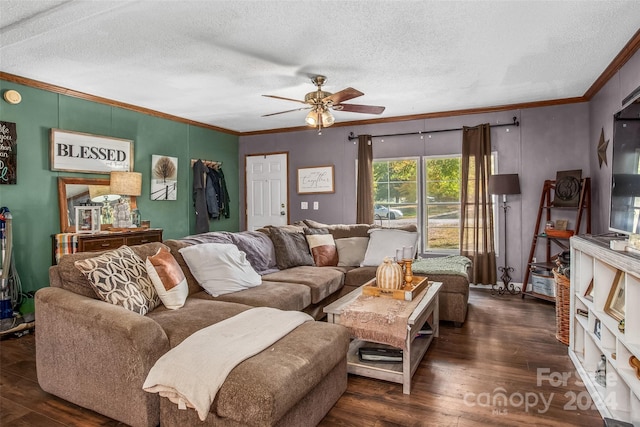 living room featuring ceiling fan, a textured ceiling, dark hardwood / wood-style flooring, and ornamental molding