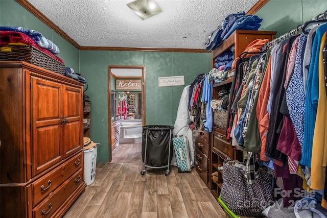 walk in closet featuring light hardwood / wood-style flooring