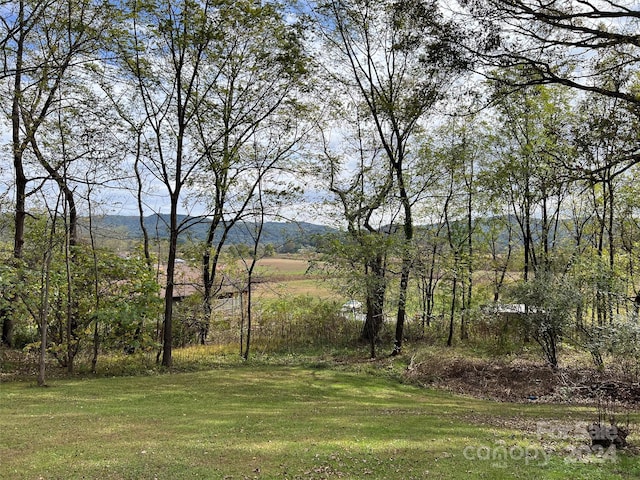 Listing photo 3 for 000 Old Hendersonville Hwy, Brevard NC 28712