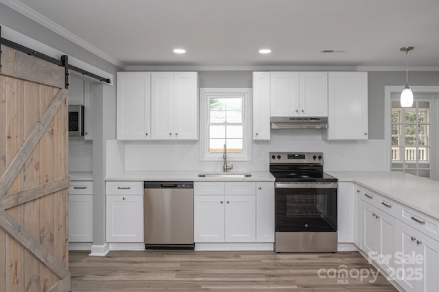 kitchen with stainless steel appliances, a barn door, sink, and white cabinets