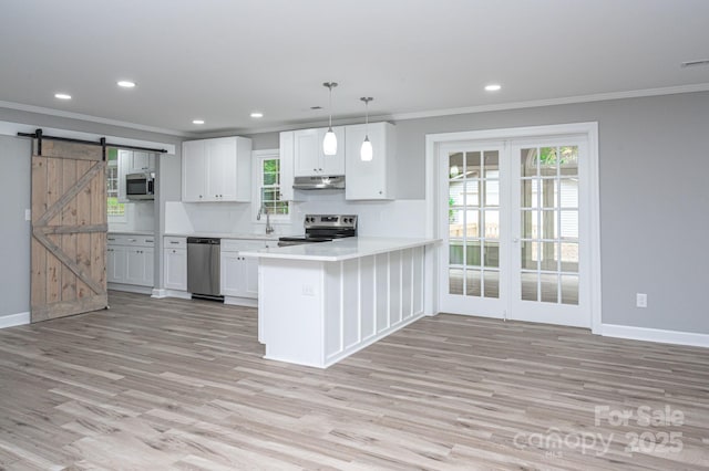 kitchen with pendant lighting, appliances with stainless steel finishes, white cabinetry, kitchen peninsula, and a barn door