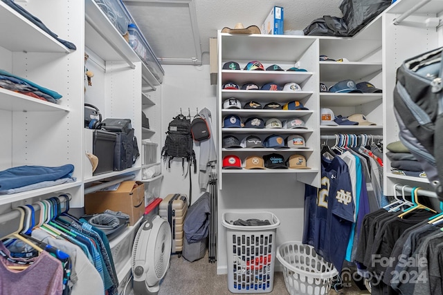 walk in closet with carpet floors