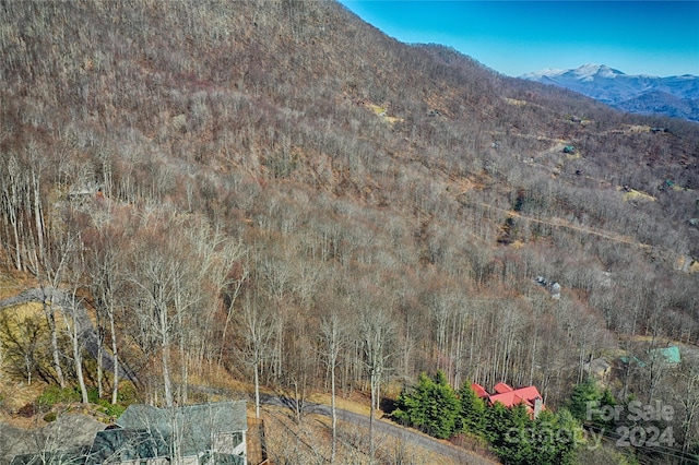 Listing photo 2 for 27 Chipmunk Cir, Waynesville NC 28785