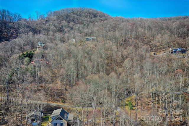 Listing photo 3 for 27 Chipmunk Cir, Waynesville NC 28785