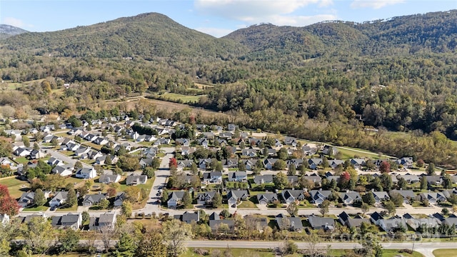 view of mountain feature