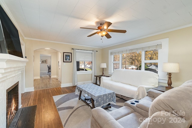 living room featuring ceiling fan, light hardwood / wood-style floors, and ornamental molding