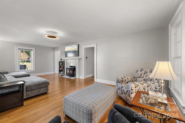 living room featuring light hardwood / wood-style floors and a wood stove