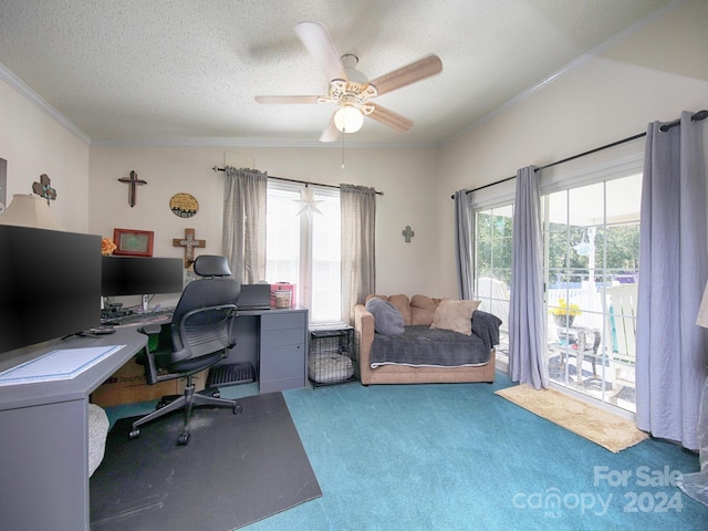 office area featuring vaulted ceiling, carpet, a wealth of natural light, and a textured ceiling