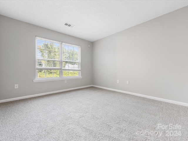 carpeted spare room with a textured ceiling