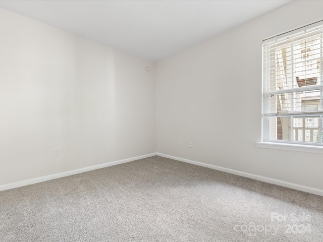 empty room featuring carpet