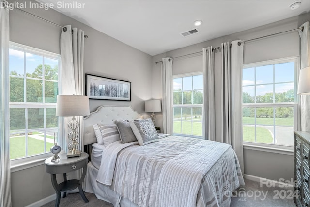 carpeted bedroom featuring multiple windows