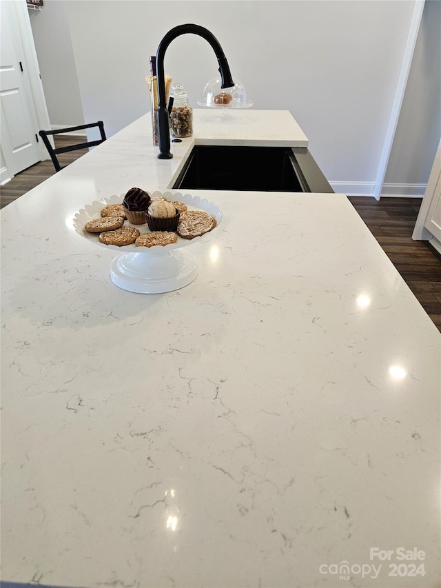 room details featuring sink and dark hardwood / wood-style flooring