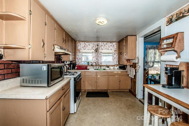 kitchen featuring sink, light carpet, white gas range oven, and a wealth of natural light