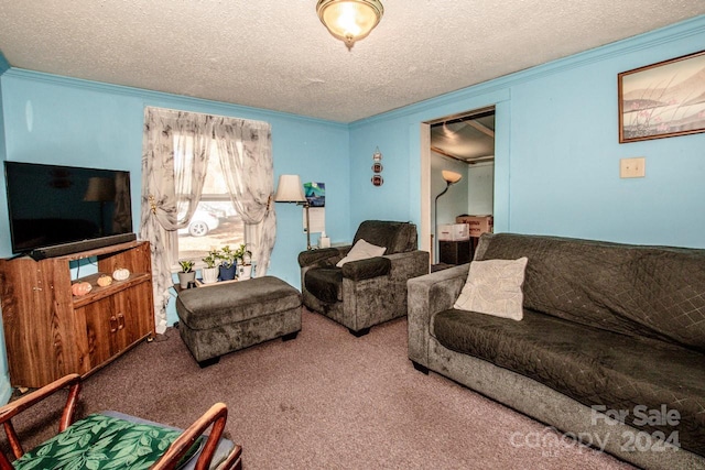 carpeted living room with a textured ceiling and ornamental molding