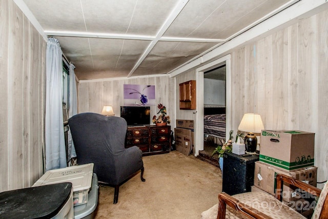 sitting room with light carpet and wooden walls